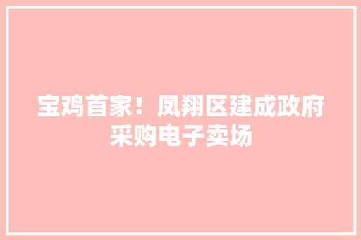 宝鸡首家！凤翔区建成政府采购电子卖场