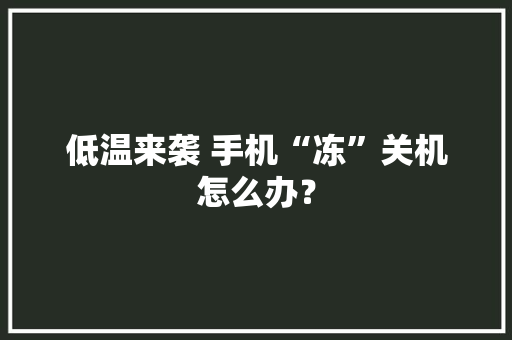 低温来袭 手机“冻”关机怎么办？
