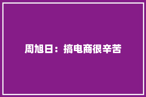 周旭日：搞电商很辛苦
