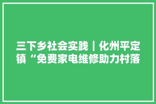 三下乡社会实践｜化州平定镇“免费家电维修助力村落振兴”