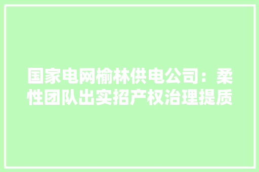 国家电网榆林供电公司：柔性团队出实招产权治理提质效