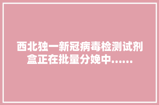西北独一新冠病毒检测试剂盒正在批量分娩中……