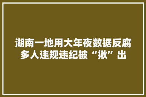 湖南一地用大年夜数据反腐多人违规违纪被“揪”出