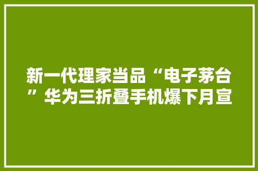新一代理家当品“电子茅台”华为三折叠手机爆下月宣告