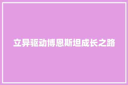 立异驱动博恩斯坦成长之路