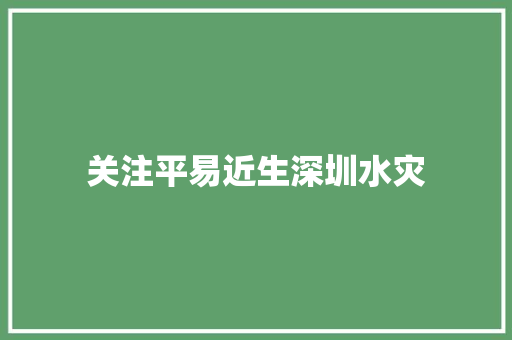 关注平易近生深圳水灾