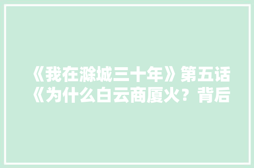 《我在滁城三十年》第五话《为什么白云商厦火？背后有励志传说》