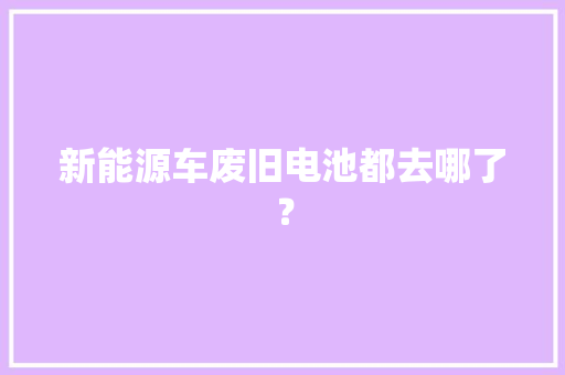 新能源车废旧电池都去哪了？