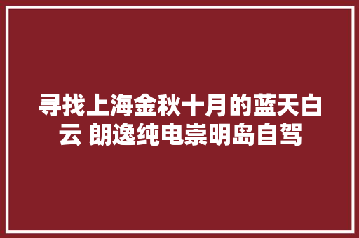 寻找上海金秋十月的蓝天白云 朗逸纯电崇明岛自驾