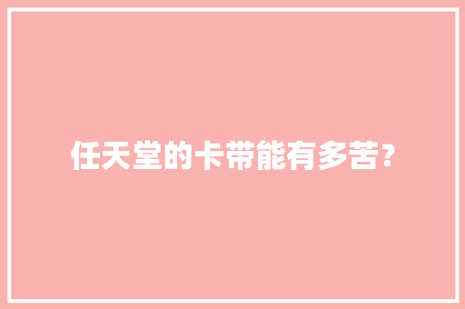 任天堂的卡带能有多苦？