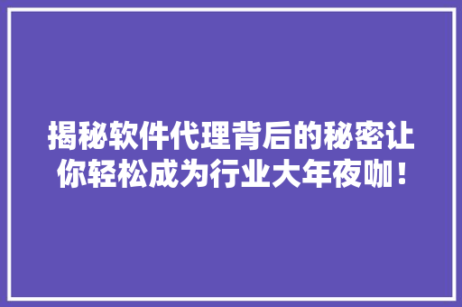 揭秘软件代理背后的秘密让你轻松成为行业大年夜咖！
