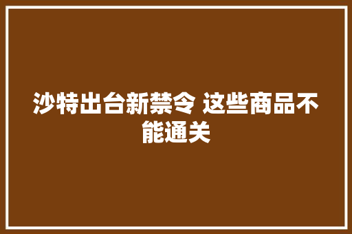 沙特出台新禁令 这些商品不能通关