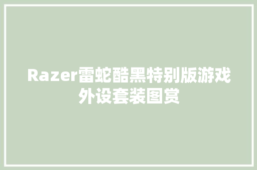 Razer雷蛇酷黑特别版游戏外设套装图赏