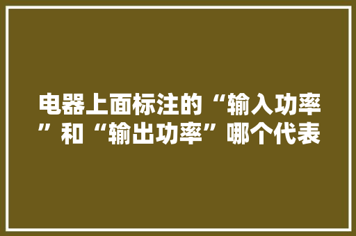 电器上面标注的“输入功率”和“输出功率”哪个代表耗电量