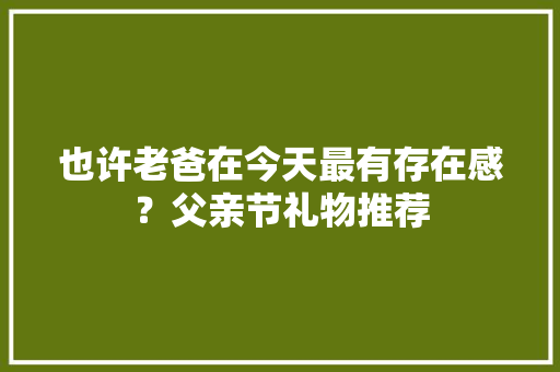 也许老爸在今天最有存在感？父亲节礼物推荐