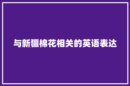 与新疆棉花相关的英语表达