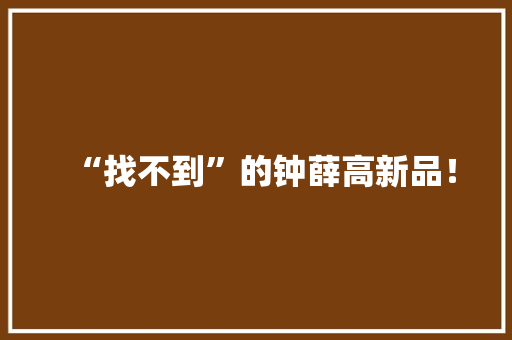 “找不到”的钟薛高新品！