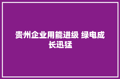 贵州企业用能进级 绿电成长迅猛