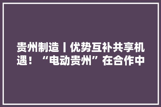 贵州制造丨优势互补共享机遇！“电动贵州”在合作中塑造新优势