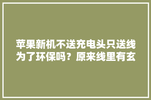 苹果新机不送充电头只送线为了环保吗？原来线里有玄机