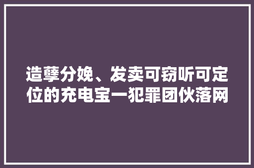 造孽分娩、发卖可窃听可定位的充电宝一犯罪团伙落网