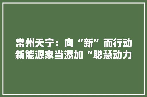 常州天宁：向“新”而行动新能源家当添加“聪慧动力”