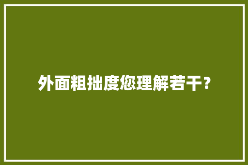 外面粗拙度您理解若干？