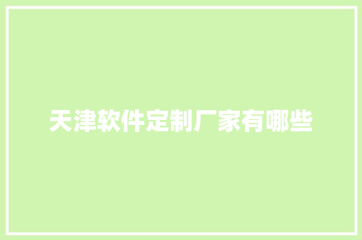 天津软件定制厂家有哪些
