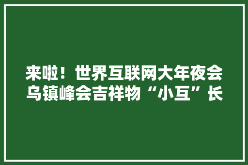 来啦！世界互联网大年夜会乌镇峰会吉祥物“小互”长这样