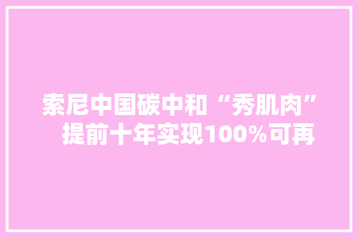 索尼中国碳中和“秀肌肉”   提前十年实现100%可再生能源用电