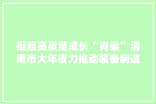 挺起高质量成长“脊梁”渭南市大年夜力推动装备制造业成长筑牢高质量成长之基