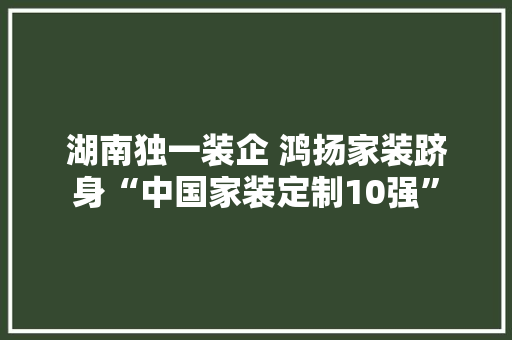 湖南独一装企 鸿扬家装跻身“中国家装定制10强”