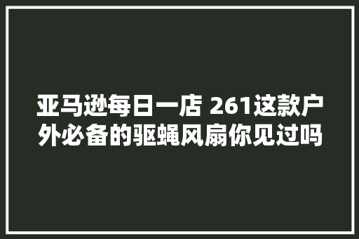 亚马逊每日一店 261这款户外必备的驱蝇风扇你见过吗