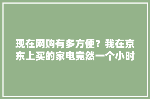 现在网购有多方便？我在京东上买的家电竟然一个小时就送到了