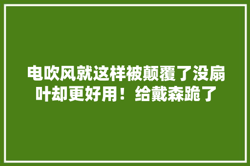 电吹风就这样被颠覆了没扇叶却更好用！给戴森跪了