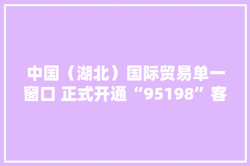 中国（湖北）国际贸易单一窗口 正式开通“95198”客户做事热线