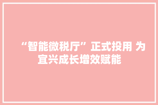 “智能微税厅”正式投用 为宜兴成长增效赋能