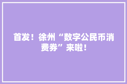 首发！徐州“数字公民币消费券”来啦！