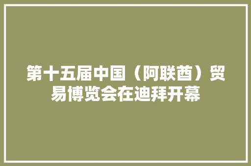 第十五届中国（阿联酋）贸易博览会在迪拜开幕