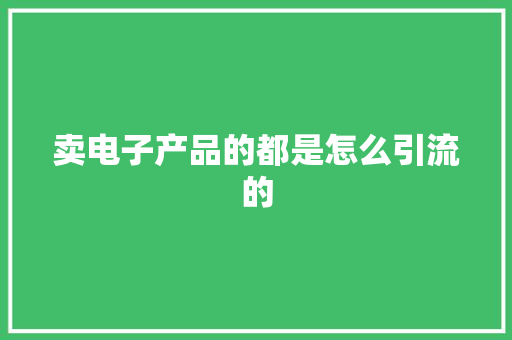 卖电子产品的都是怎么引流的