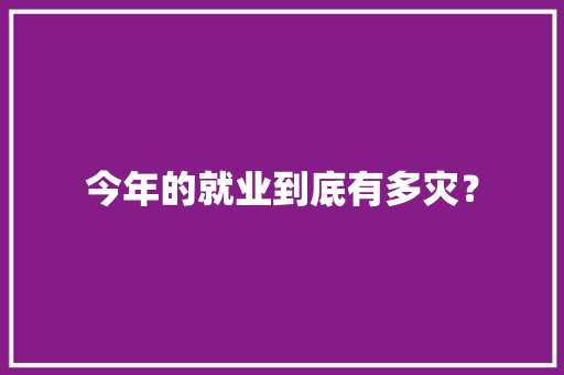今年的就业到底有多灾？