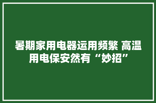 暑期家用电器运用频繁 高温用电保安然有“妙招”