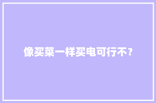 像买菜一样买电可行不？