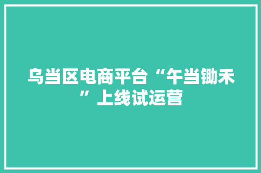 乌当区电商平台“午当锄禾”上线试运营