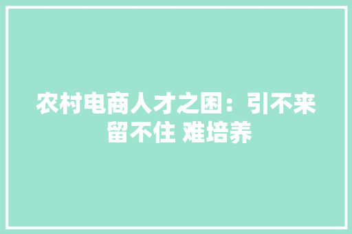 农村电商人才之困：引不来 留不住 难培养