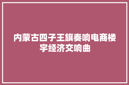内蒙古四子王旗奏响电商楼宇经济交响曲