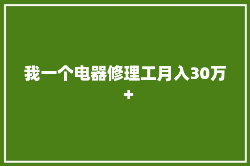 我一个电器修理工月入30万＋