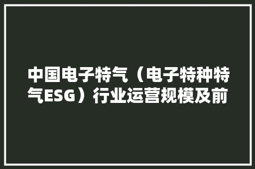 中国电子特气（电子特种特气ESG）行业运营规模及前景趋势猜测