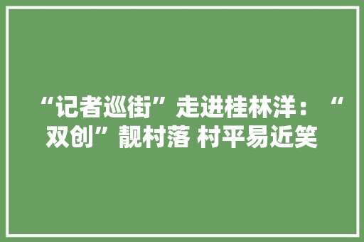 “记者巡街”走进桂林洋：“双创”靓村落 村平易近笑颜开