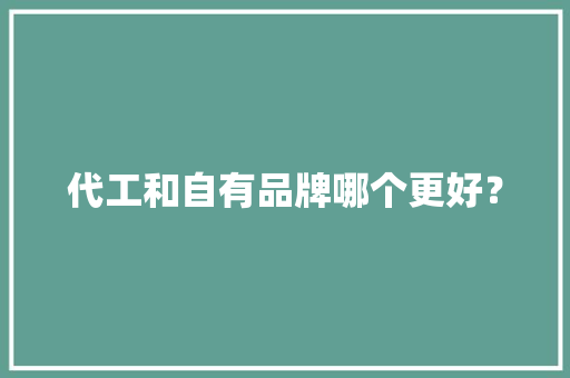 代工和自有品牌哪个更好？
